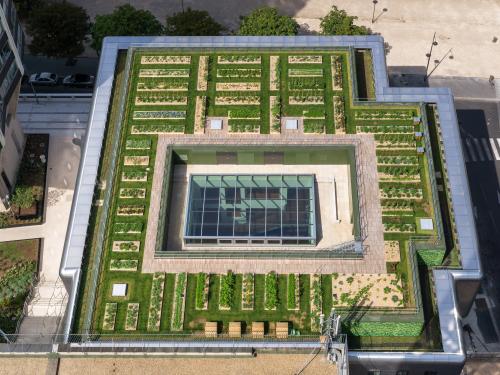 Bird's eye view of the roof garden